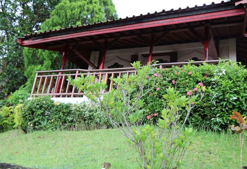 Люкс, Puri Bunga Beach Cottages