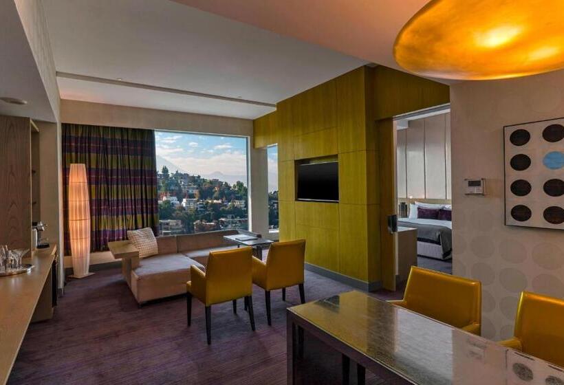 带大床的套房, W Santiago