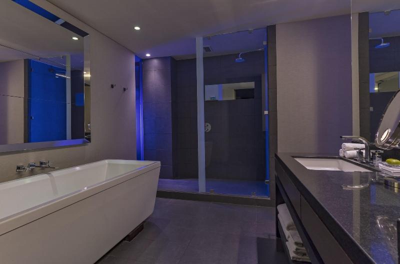 带城市景观的标准间, W Santiago