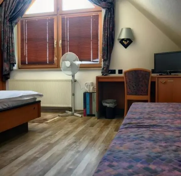 Standaard Éénpersoonskamer, Seebach