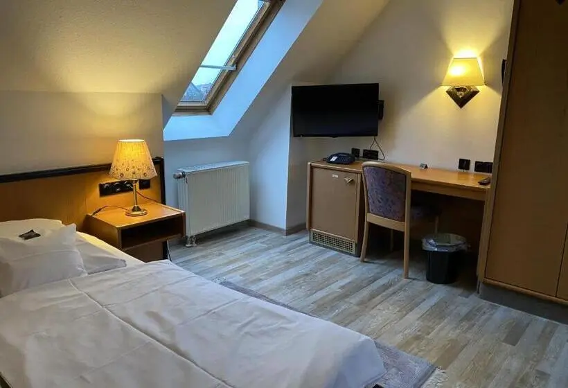Standaard Éénpersoonskamer, Seebach
