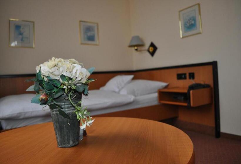 חדר סטנדרט יחיד, Seebach