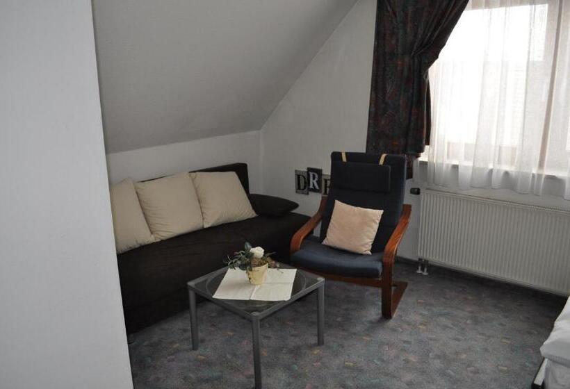 Номер Стандарт Трехместный, Seebach