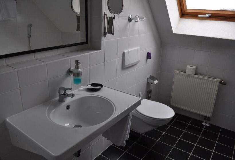 חדר סטנדרט יחיד, Seebach