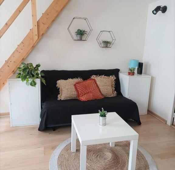 带1个卧室的公寓, Duplex à La Gare Du Mans