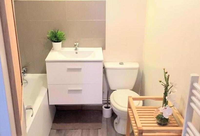 带1个卧室的公寓, Duplex à La Gare Du Mans