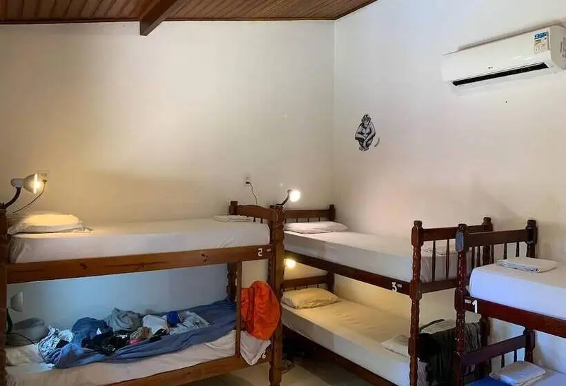 تختخواب در اتاق مشترک, Biergarten Hostel