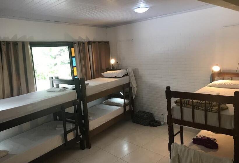 共用房间的床, Biergarten Hostel