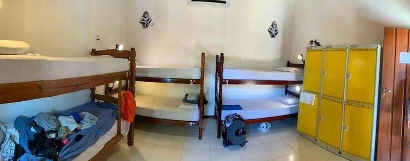 سرير فى غرفة مشتركه, Biergarten Hostel