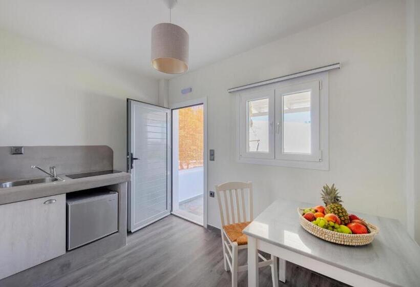 اتاق استاندارد با چشمانداز باغ, Aegean Paradiso Vacation Club Adults Only