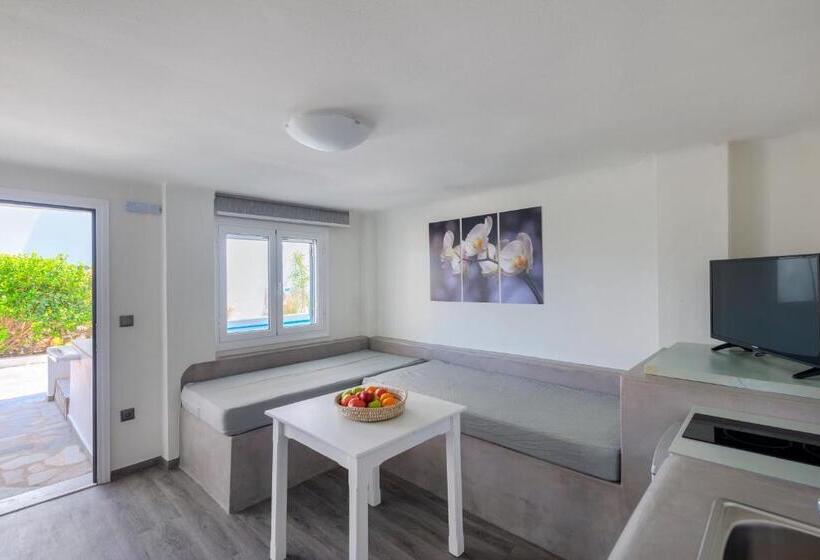 آپارتمان سوپریور 1 خوابه, Aegean Paradiso Vacation Club Adults Only