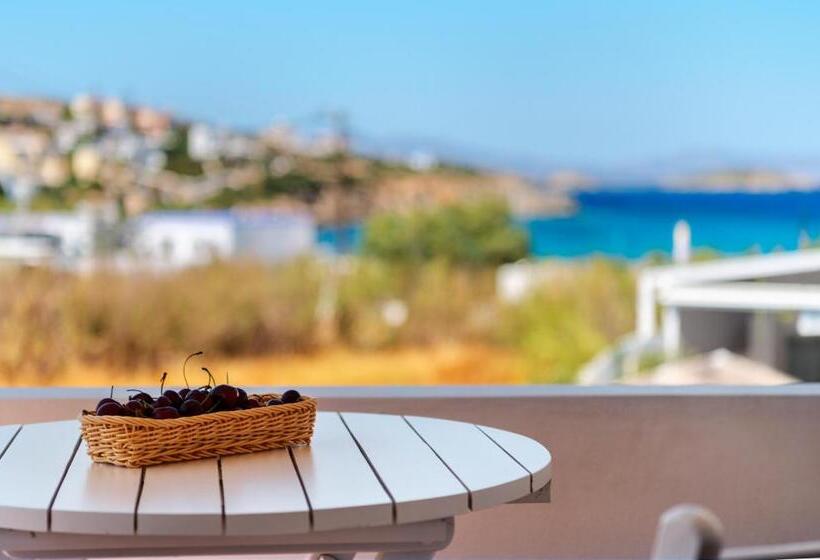 اتاق عادی, Aegean Paradiso Vacation Club Adults Only