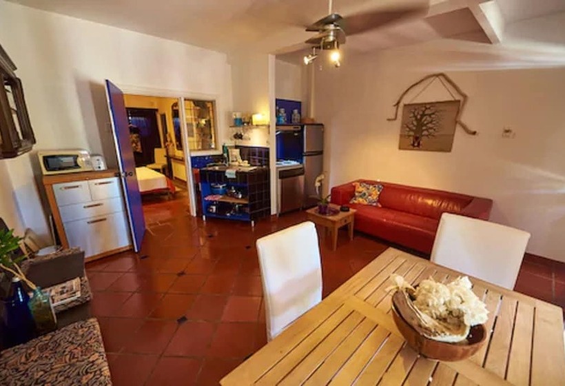سوئیت با تخت بزرگ, Beach House Aruba Apartments