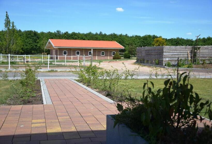 Апартаменты 1 Спальня, Ferienresort Texas Mv