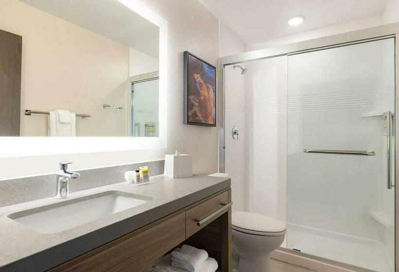 استودیو استاندارد با تخت کینگ, Candlewood Suites Lexington Medical District, An Ihg