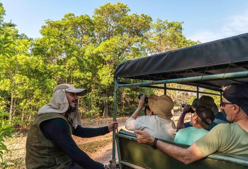 标准间, Pousada Fazenda Xaraés