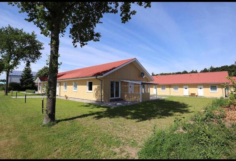 شقة غرفتين, Ellen