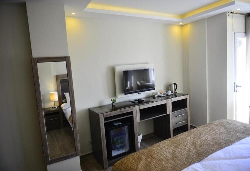 اتاق اکونومی یک تخته, Moses Residence