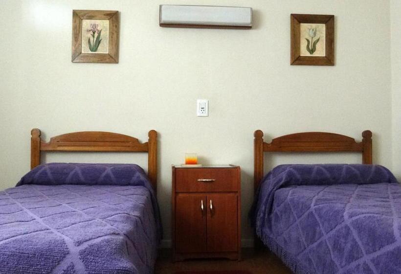 Номер Стандарт, Miceli