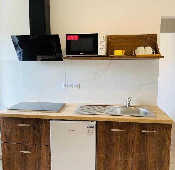 דירת דופלקס בת חדר שינה 1, Pension Vidhous 2