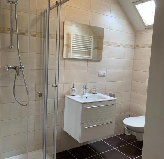 דירת דופלקס בת חדר שינה 1, Pension Vidhous 2