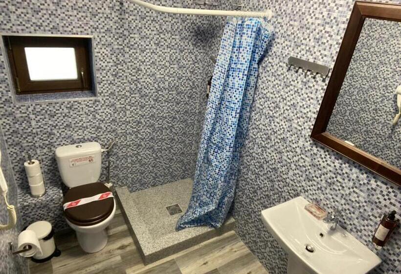 キングサイズベッドのスタンダードルーム, Pensiunea Belvedere Murighiol