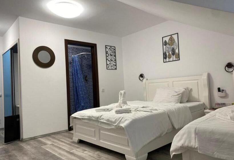 デラックストリプルルーム, Pensiunea Belvedere Murighiol