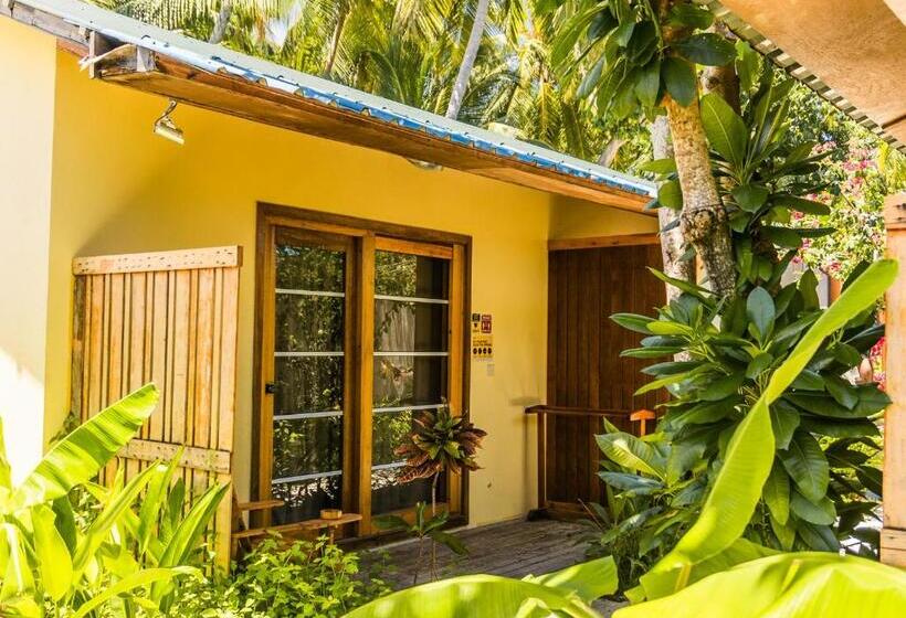 اتاق استاندارد, Rising Sun Beach View