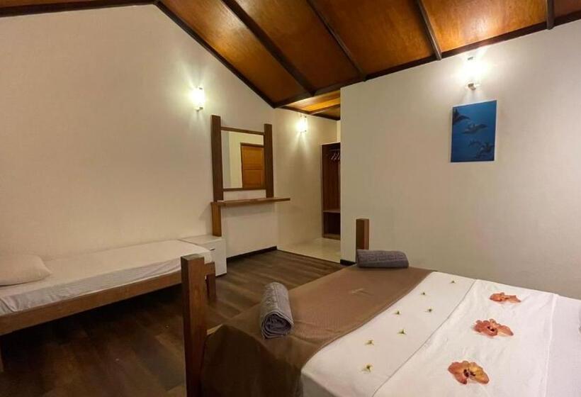 اتاق خانوادگی, Rising Sun Beach View