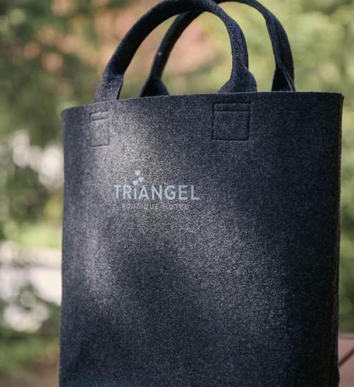 اتاق استاندارد با چشم‌انداز کوهستان, Triangel Boutique