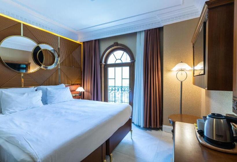 اتاق استاندارد برای معلولان, Wyndham Istanbul Old City