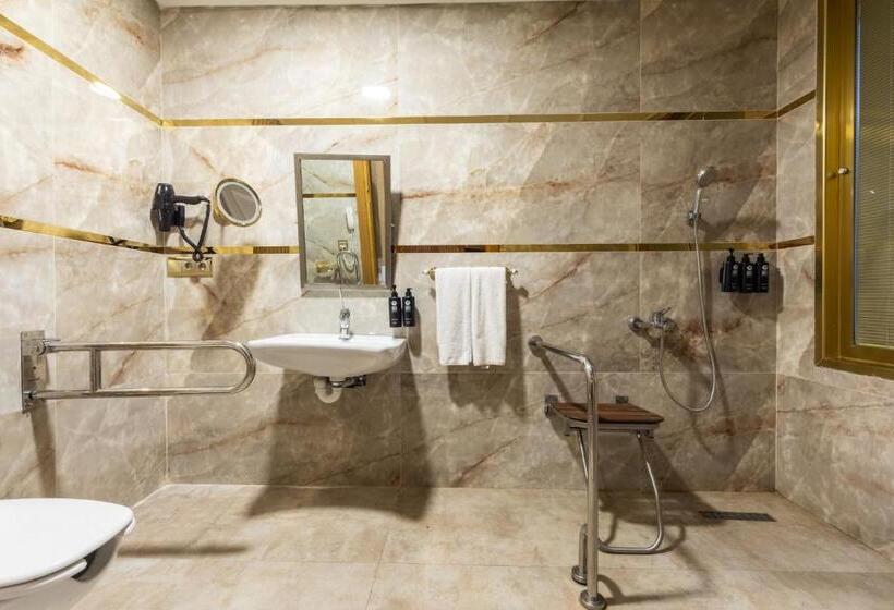 اتاق استاندارد برای معلولان, Wyndham Istanbul Old City
