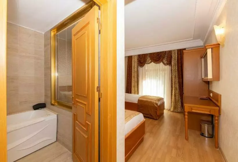 اتاق استاندارد با وان آب گرم, Wyndham Istanbul Old City