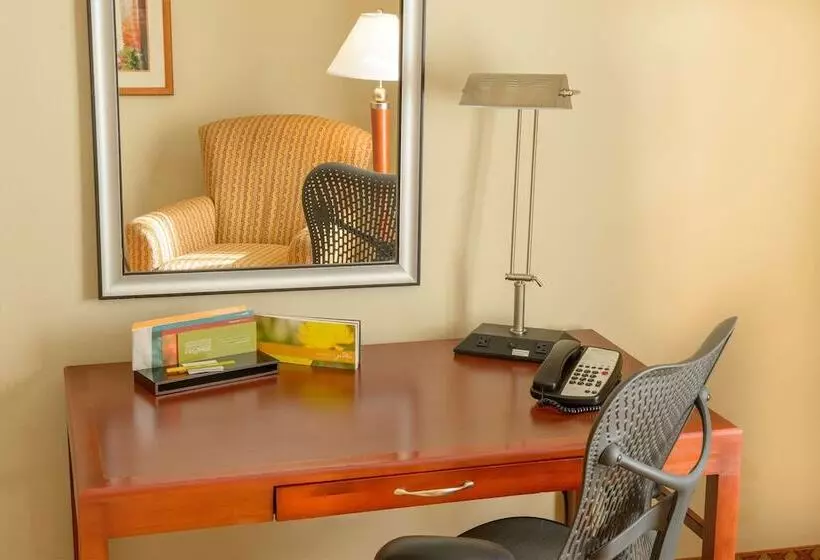 اتاق استاندارد برای معلولان, Hilton Garden Inn Joplin