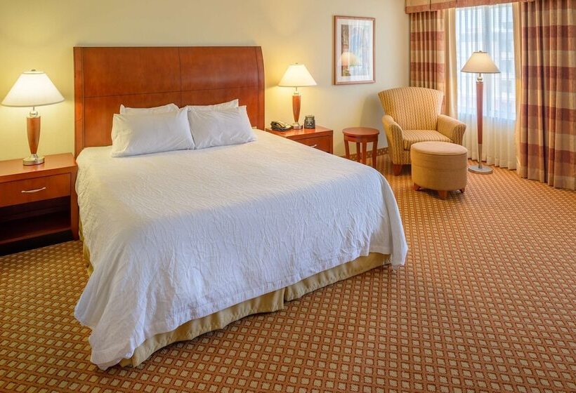 غرفة قياسية لذوى الاحتياجات الخاصة, Hilton Garden Inn Joplin