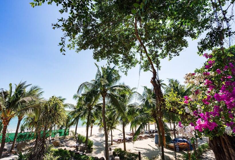 سوییت با چشمانداز دریا, Hoang Ngoc Beach Resort