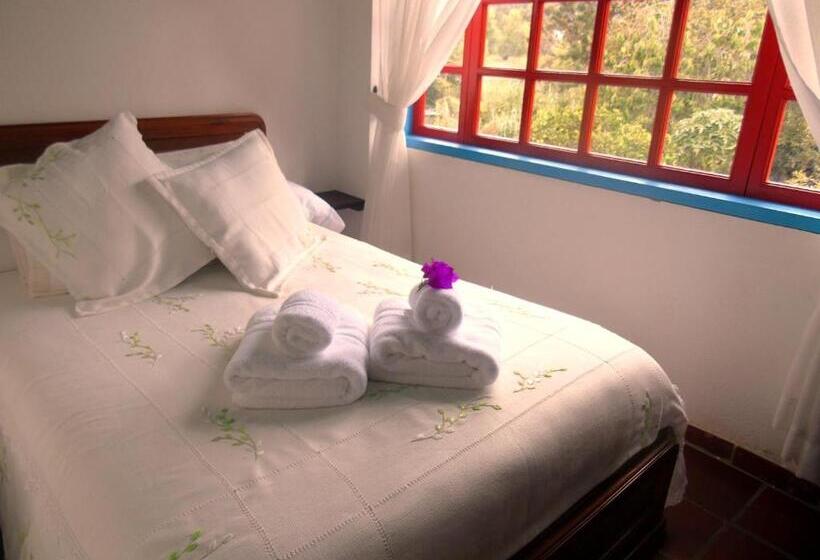 חדר סטנדרט, Casona 1865