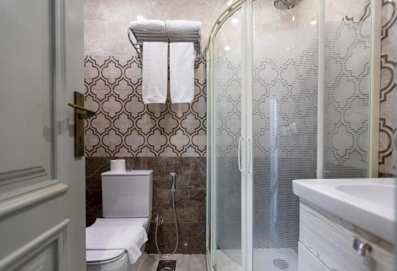 اتاق سوپریور با چشمانداز, Mamlouk Pyramids