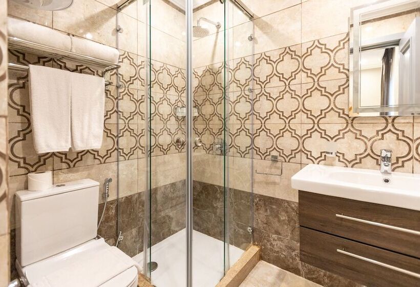 اتاق اکونومی, Mamlouk Pyramids