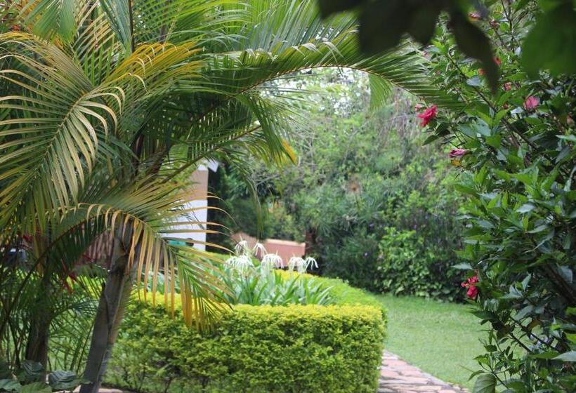 اتاق اکونومی, Montane Safaris