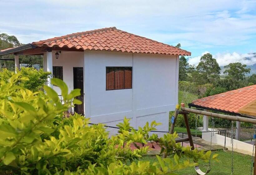 غرفة قياسية مطلة على الجبل, Villa Paulina