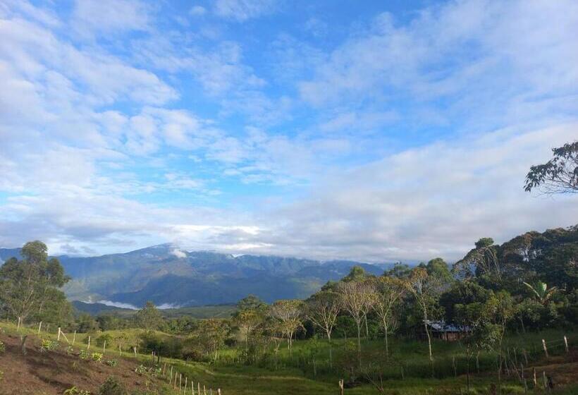 منزل 3 غرف نوم, Villa Paulina