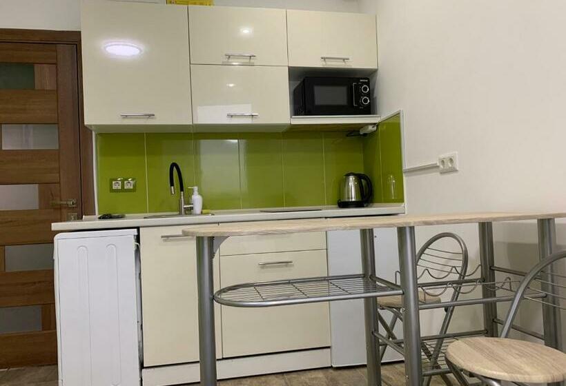 اتاق استاندارد, апартаменти студія на герцена