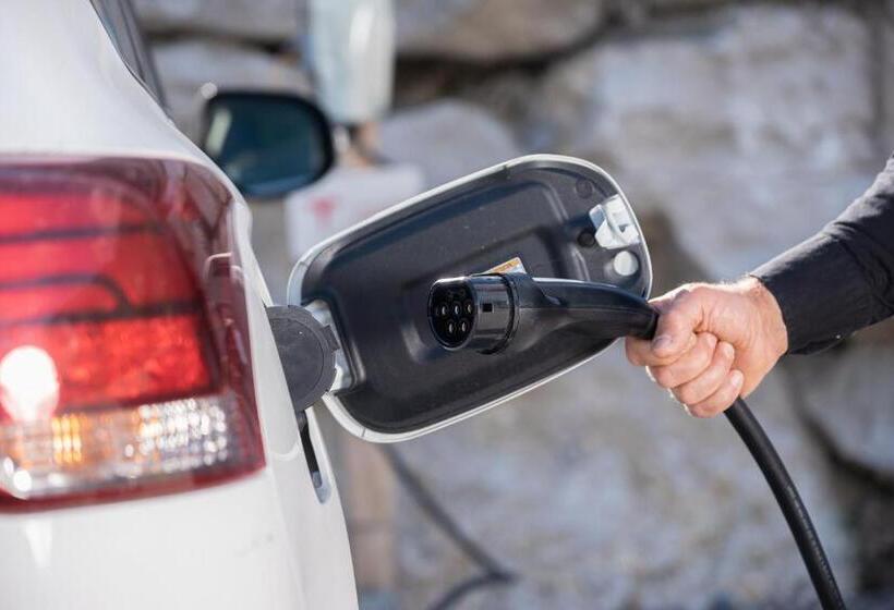 חדר משפתחתי סופריור, Le Toi Du Monde