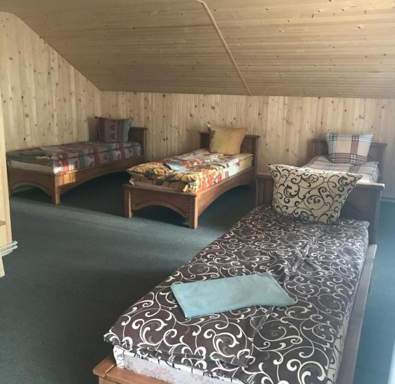 اتاق سوپریور سه تخته, Novoe Shale