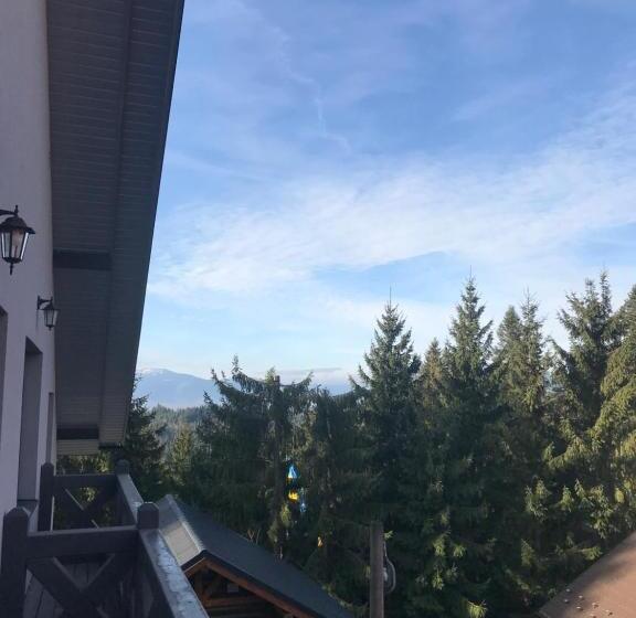 اتاق سوپریور چهار تخته, Novoe Shale