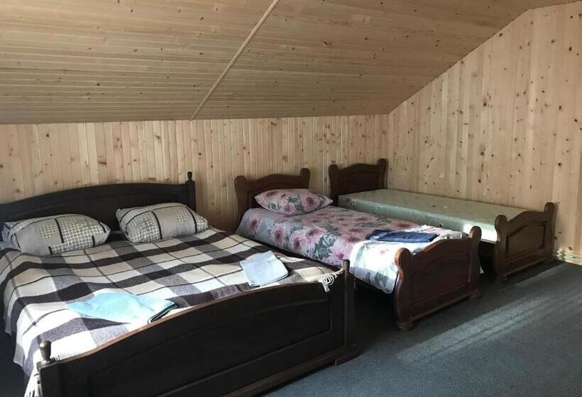 اتاق سوپریور چهار تخته, Novoe Shale