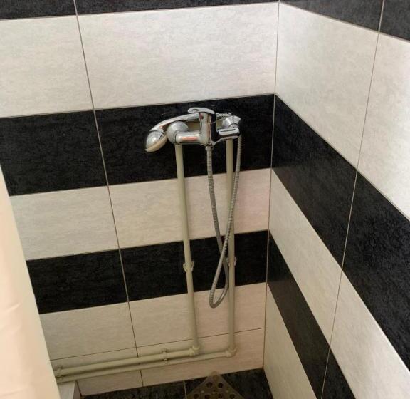 اتاق سوپریور سه تخته, Novoe Shale