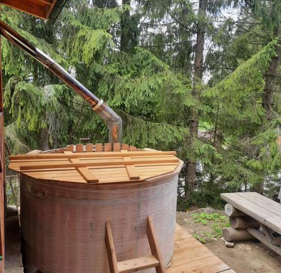 اتاق سوپریور چهار تخته, Novoe Shale