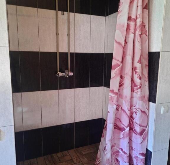 اتاق سوپریور چهار تخته, Novoe Shale